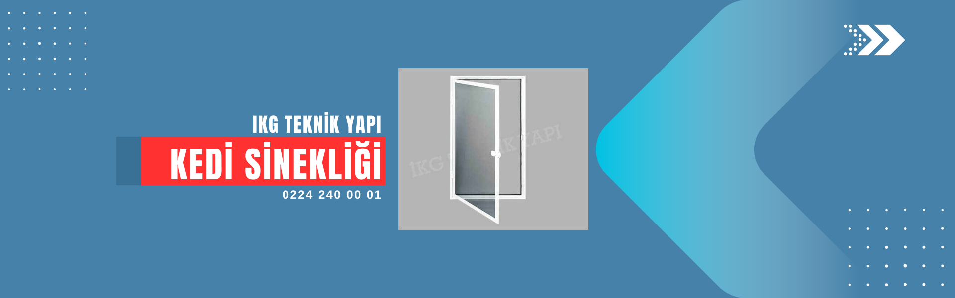 kedi sinekliği